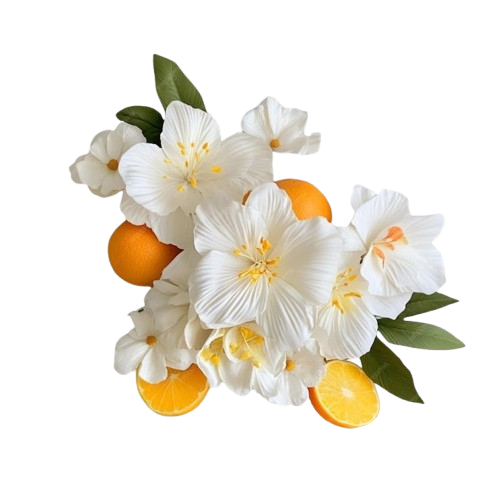 WhatsApp_Image_2026-03-30_at_15.03.05-removebg-preview