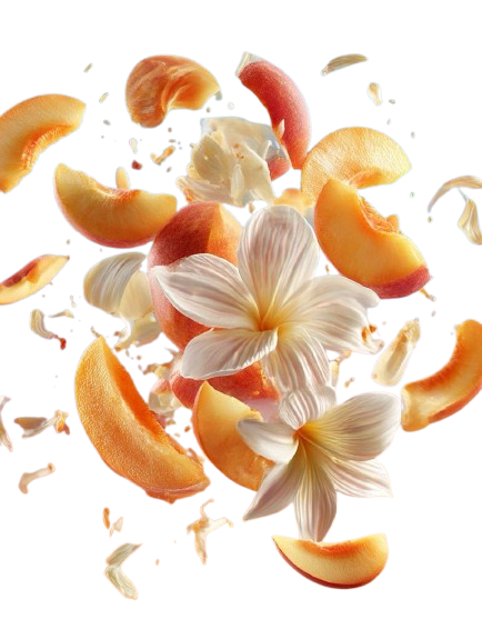 WhatsApp_Image_2026-03-30_at_15.03.05__2_-removebg-preview