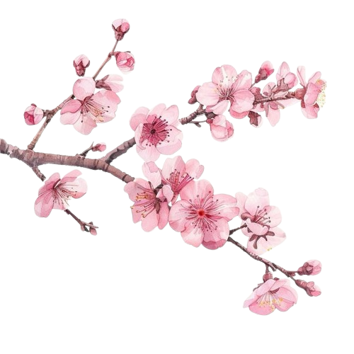 WhatsApp_Image_2026-04-01_at_00.01.44__1_-removebg-preview