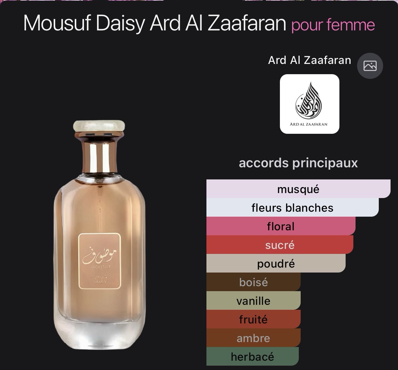Musuf Daisy Original